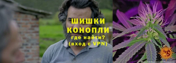гидропоника Аркадак