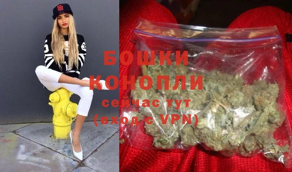 ешки Арсеньев