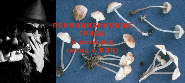 ешки Арсеньев