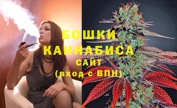 шишки Армянск