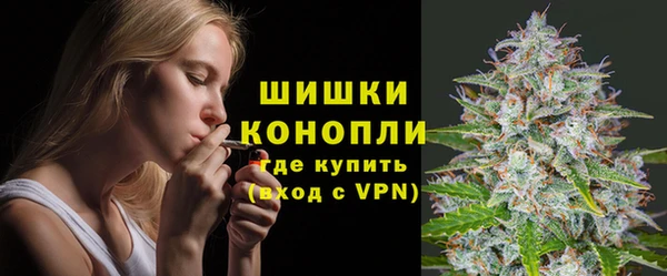 шишки Армянск